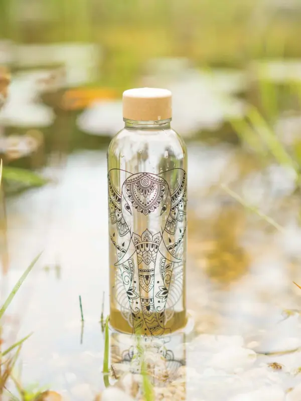 CARRY Bottles Glasflasche 0,7l