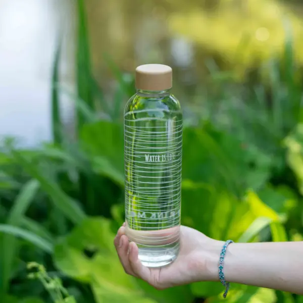 CARRY Bottles Glasflasche 0,7l